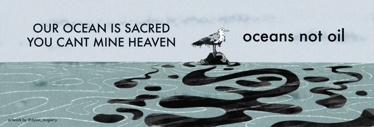 Offshore Seismic Surveys Oceans Not Oil